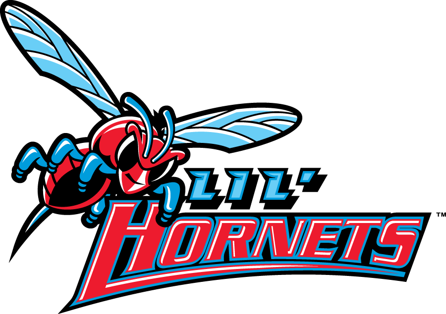 Delaware State Hornets 2004-Pres Misc Logo t shirts iron on transfers